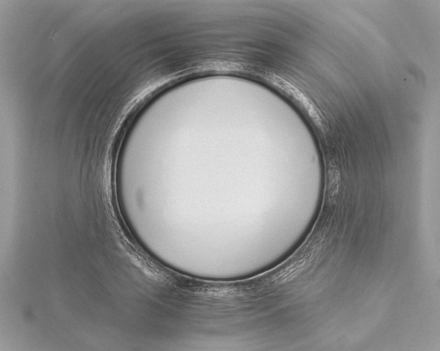 X0000115641035200912011457