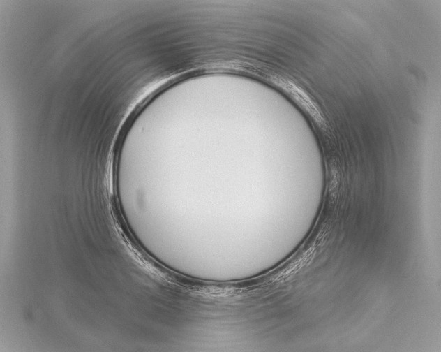 X0000115641036200912011457