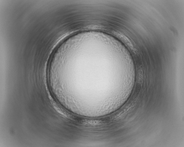 X0000115641039200912011457