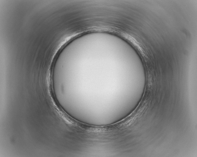 X0000115641040200912011457