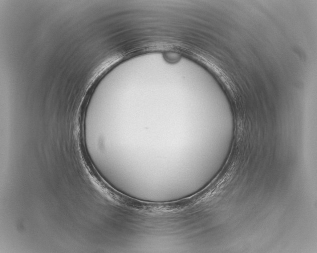 X0000115641042200912011457