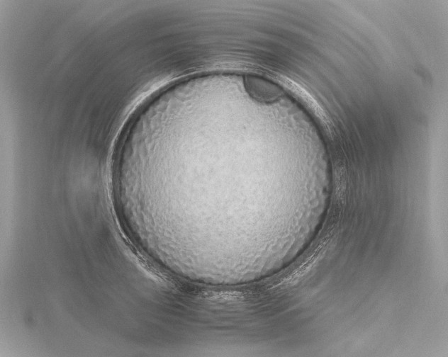 X0000115641043200912011457