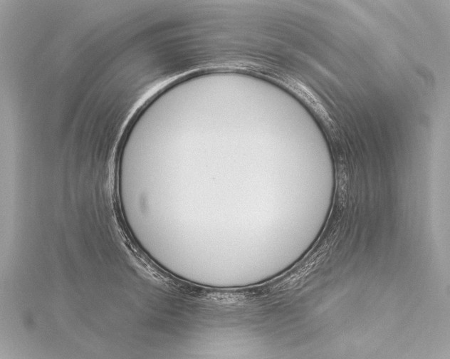 X0000115641044200912011457