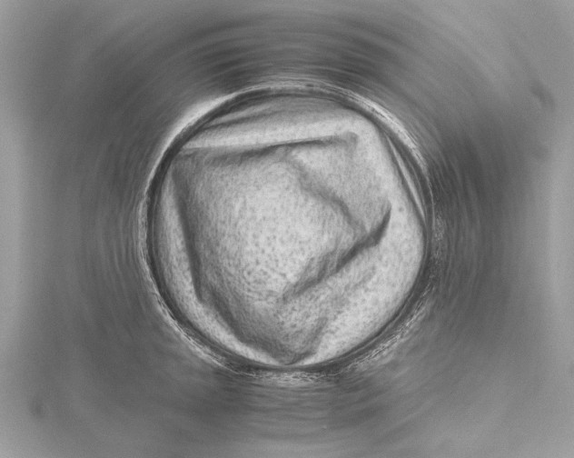 X0000115641045200912011457