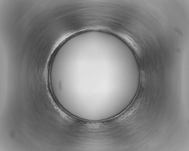 X0000115641046200912011457