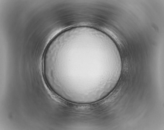 X0000115641047200912011457