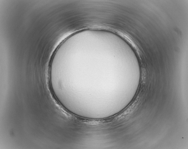 X0000115641048200912011457