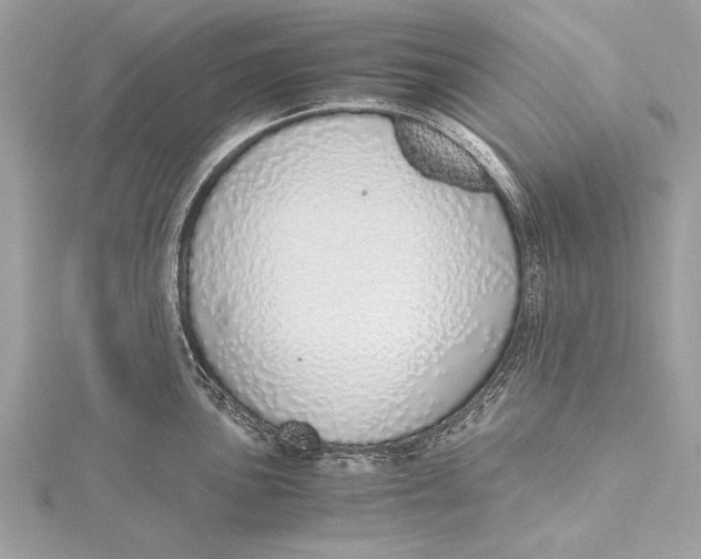 X0000115641051200912011457