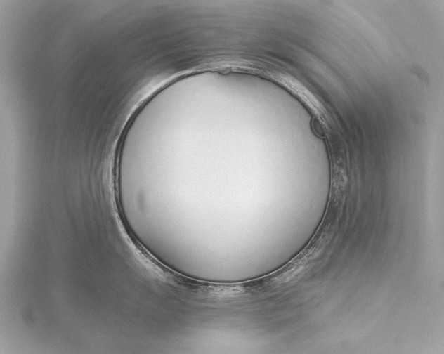X0000115641055200912011457