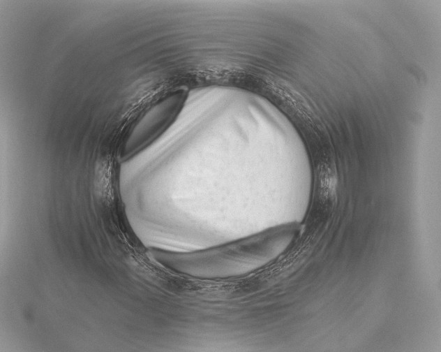 X0000115641060200912011456