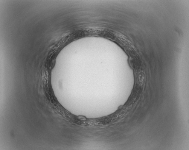 X0000115641061200912011456