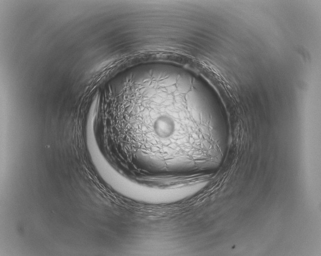 X0000115641062200912011456