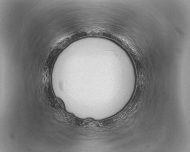 X0000115641063200912011456