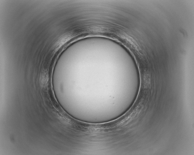 X0000115641065200912011456
