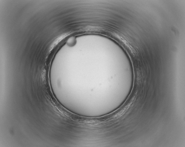 X0000115641066200912011456