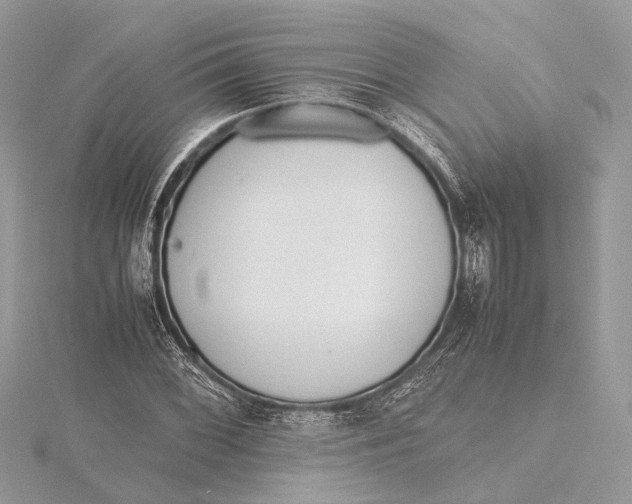 X0000115641068200912011456