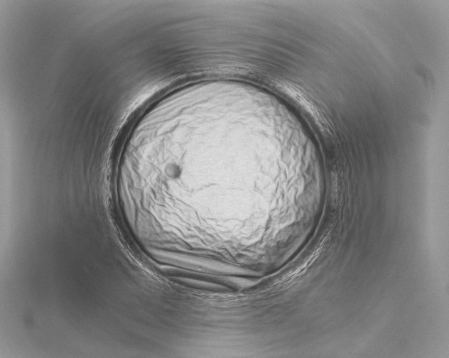 X0000115641071200912011456