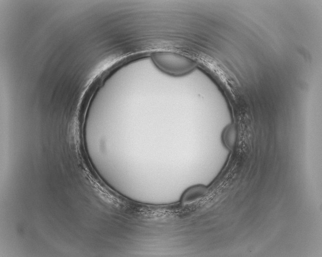 X0000115641072200912011456