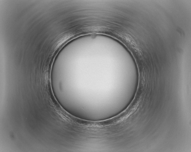 X0000115641073200912011456
