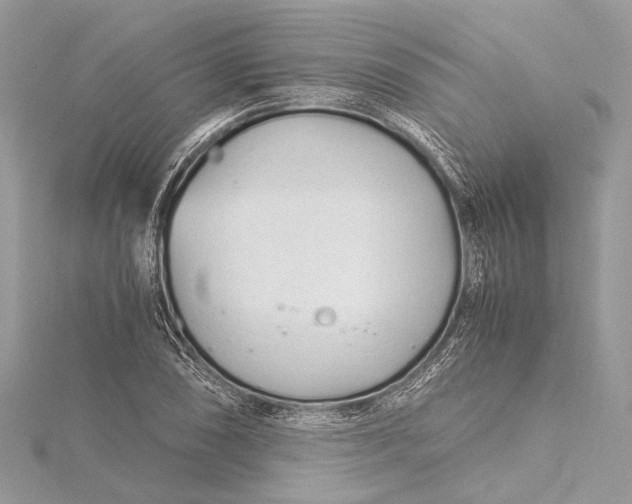 X0000115641074200912011456