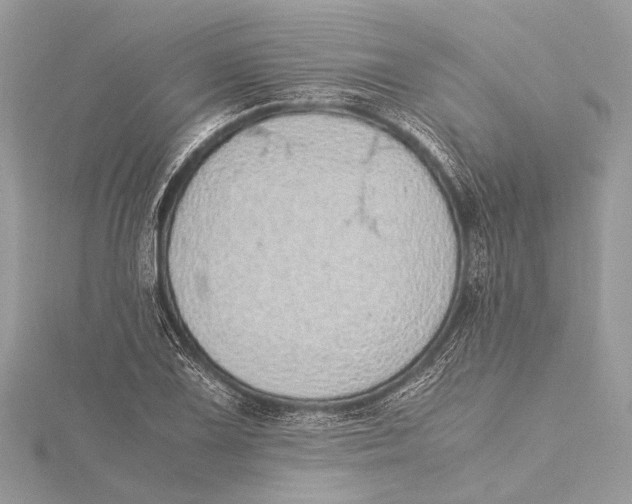 X0000115641075200912011456