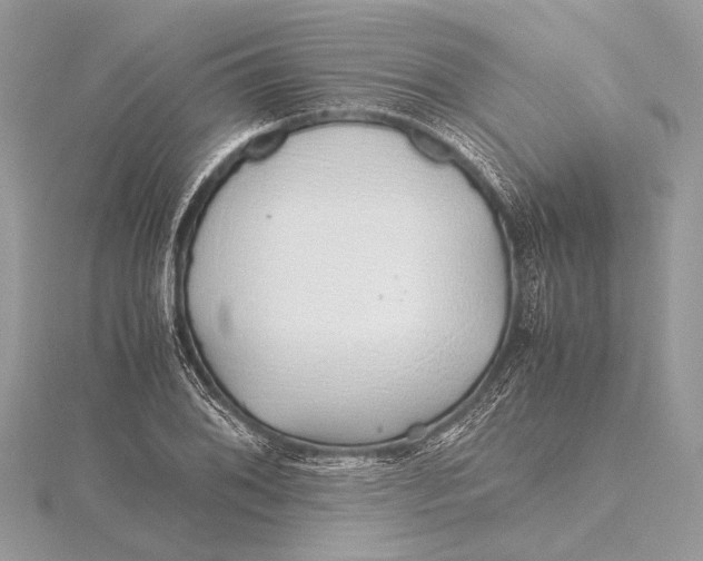 X0000115641076200912011456