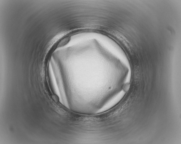 X0000115641077200912011456