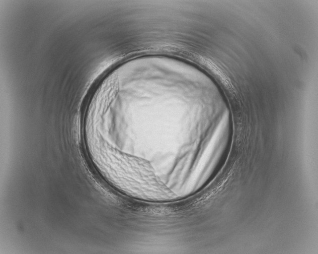 X0000115641079200912011456