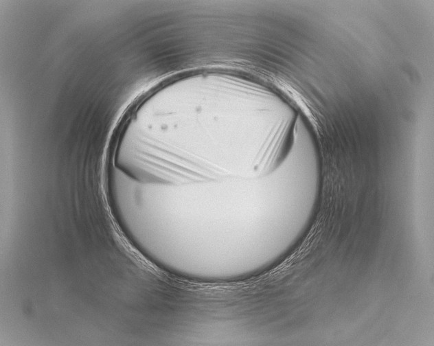 X0000115641080200912011456