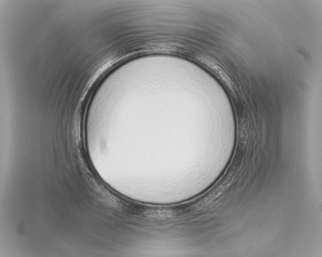 X0000115641083200912011456