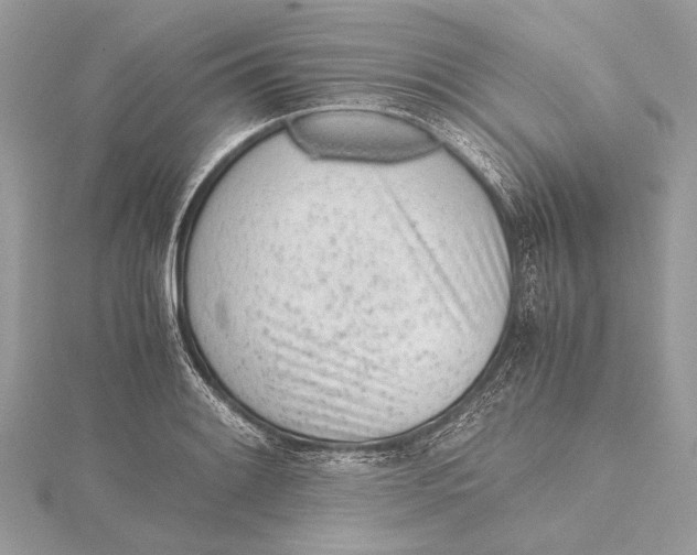 X0000115641084200912011456