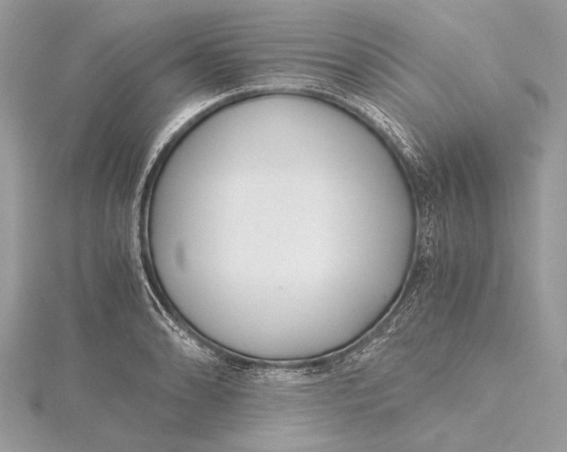 X0000115641086200912011456