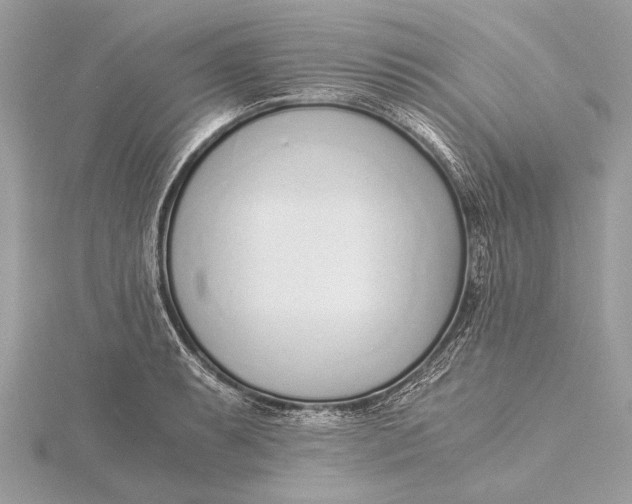 X0000115641087200912011456