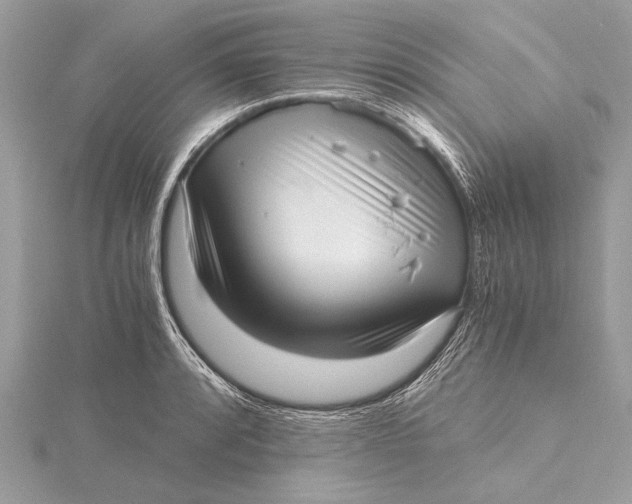 X0000115641088200912011456
