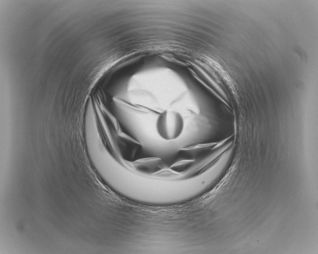 X0000115641089200912011456