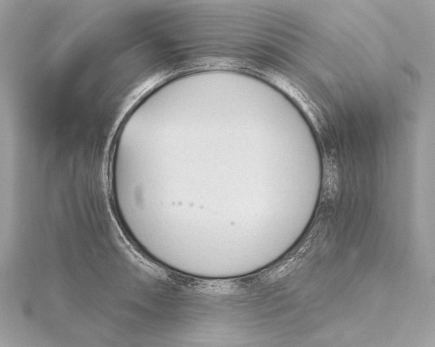 X0000115641090200912011456