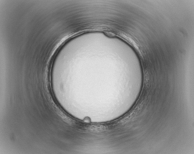 X0000115641091200912011456