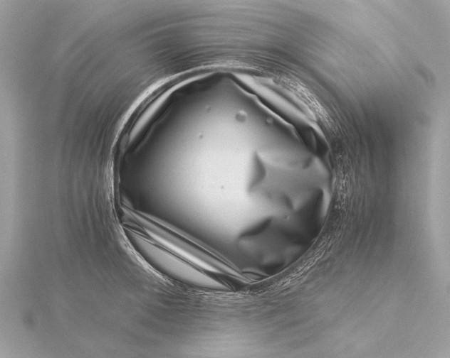 X0000115641092200912011456