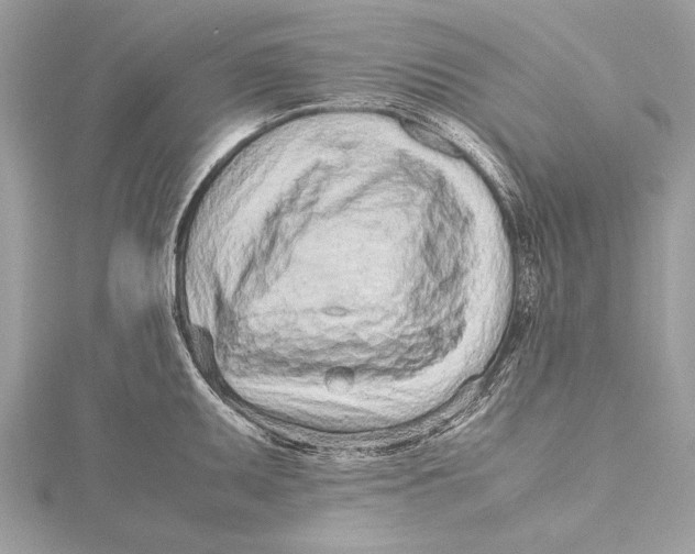 X0000115641095200912011456