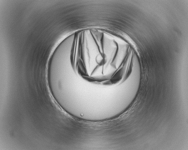 X0000115641096200912011456