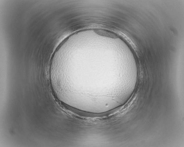 X0000115641097200912011456