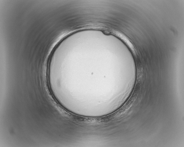 X0000115641099200912011456