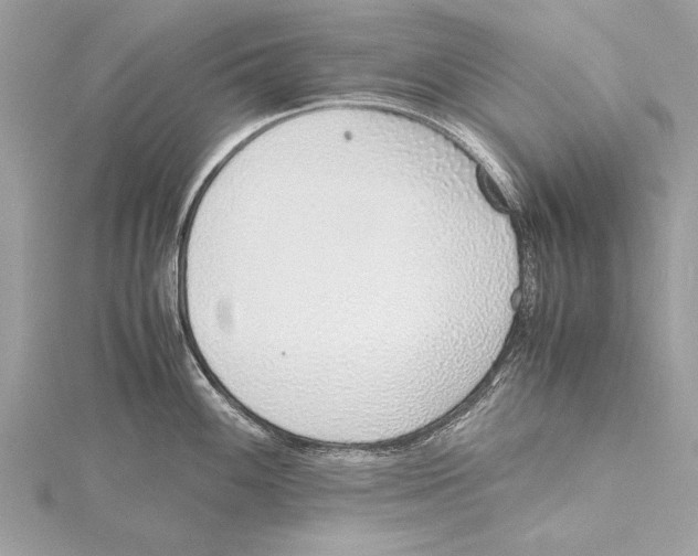 X0000115641100200912011456