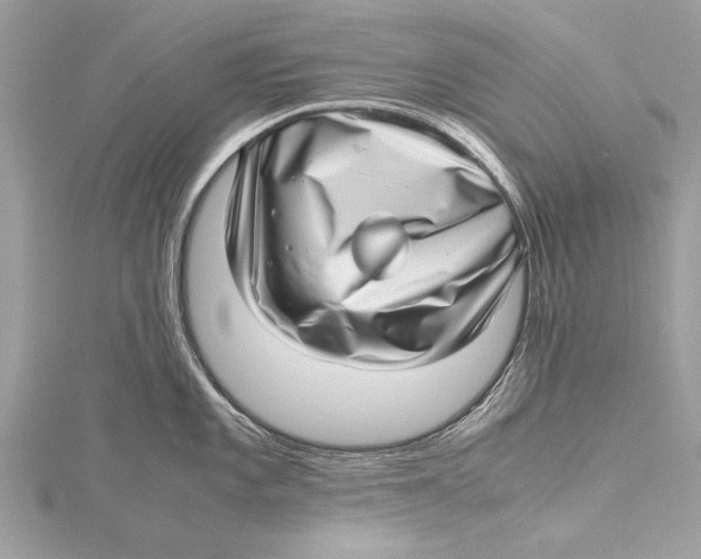 X0000115641101200912011456