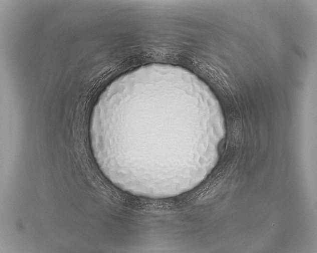X0000115641105200912011455