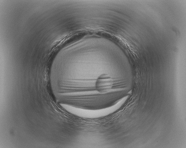 X0000115641110200912011455