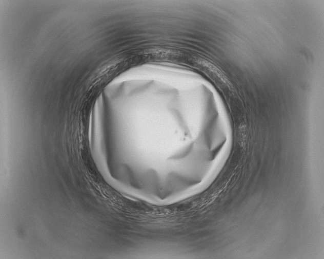 X0000115641111200912011455