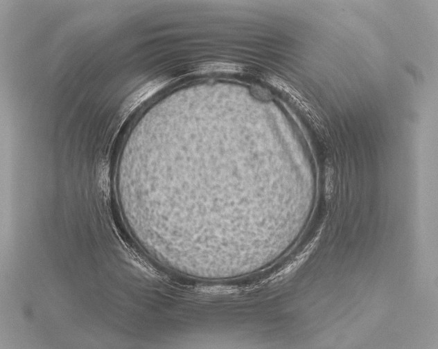 X0000115641113200912011455