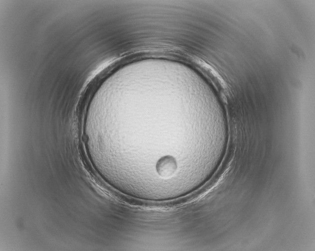 X0000115641114200912011455