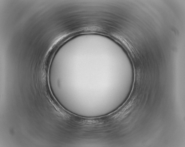 X0000115641115200912011455